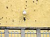 IMG_8175.JPG