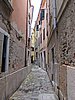 IMG_8181.JPG