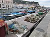 IMG_8195.JPG