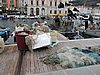 IMG_8196.JPG