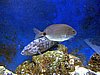 IMG_8201.JPG