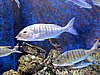 IMG_8204.JPG