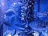 IMG_8206.JPG