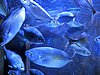 IMG_8209.JPG