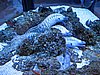 IMG_8210.JPG