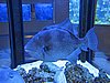 IMG_8211.JPG