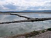 IMG_8238.JPG