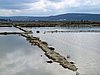 IMG_8241.JPG