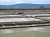 IMG_8243.JPG