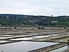 IMG_8250.JPG