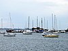 IMG_8259.JPG