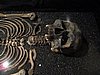 IMG_8359.JPG
