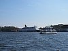 IMG_8379.JPG