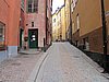 IMG_8392.JPG
