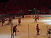 IMG_8421.JPG