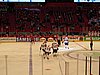 IMG_8427.JPG