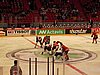 IMG_8430.JPG