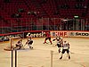 IMG_8431.JPG