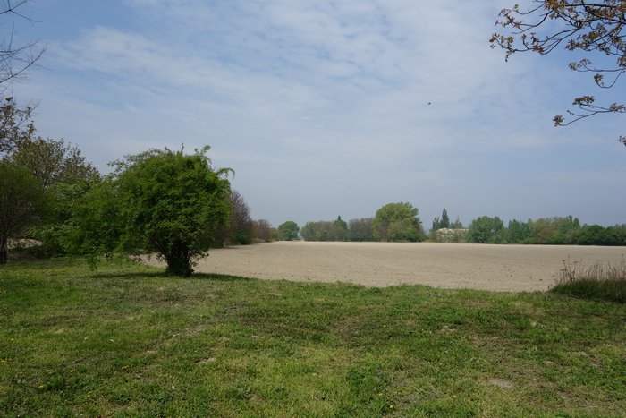 DSC02973.JPG