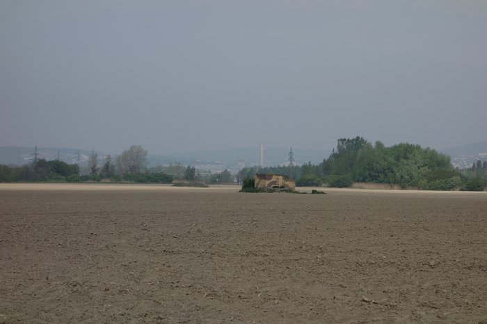 DSC02979.JPG