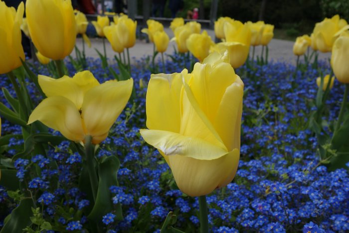 DSC03035.JPG