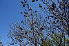 DSC02778.JPG