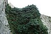 DSC02823.JPG