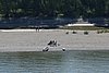 DSC02830.JPG