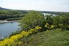 DSC02831.JPG
