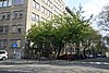 DSC02913.JPG