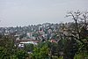 DSC02947.JPG