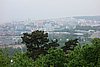 DSC02950.JPG