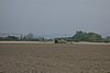 DSC02979.JPG