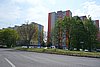 DSC02986.JPG