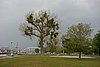 DSC03037.JPG