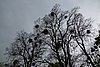 DSC03038.JPG
