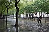DSC03040.JPG