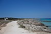 DSC03477.JPG