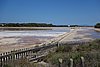DSC03478.JPG