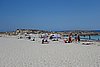 DSC03479.JPG