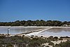 DSC03481.JPG