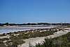 DSC03482.JPG