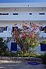 DSC03495.JPG