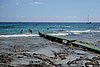 DSC03529.JPG