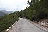 DSC03583.JPG