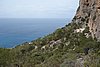 DSC03644.JPG