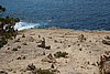DSC03649.JPG
