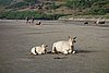 DSC04456.JPG