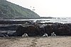 DSC04460.JPG