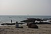 DSC04461.JPG